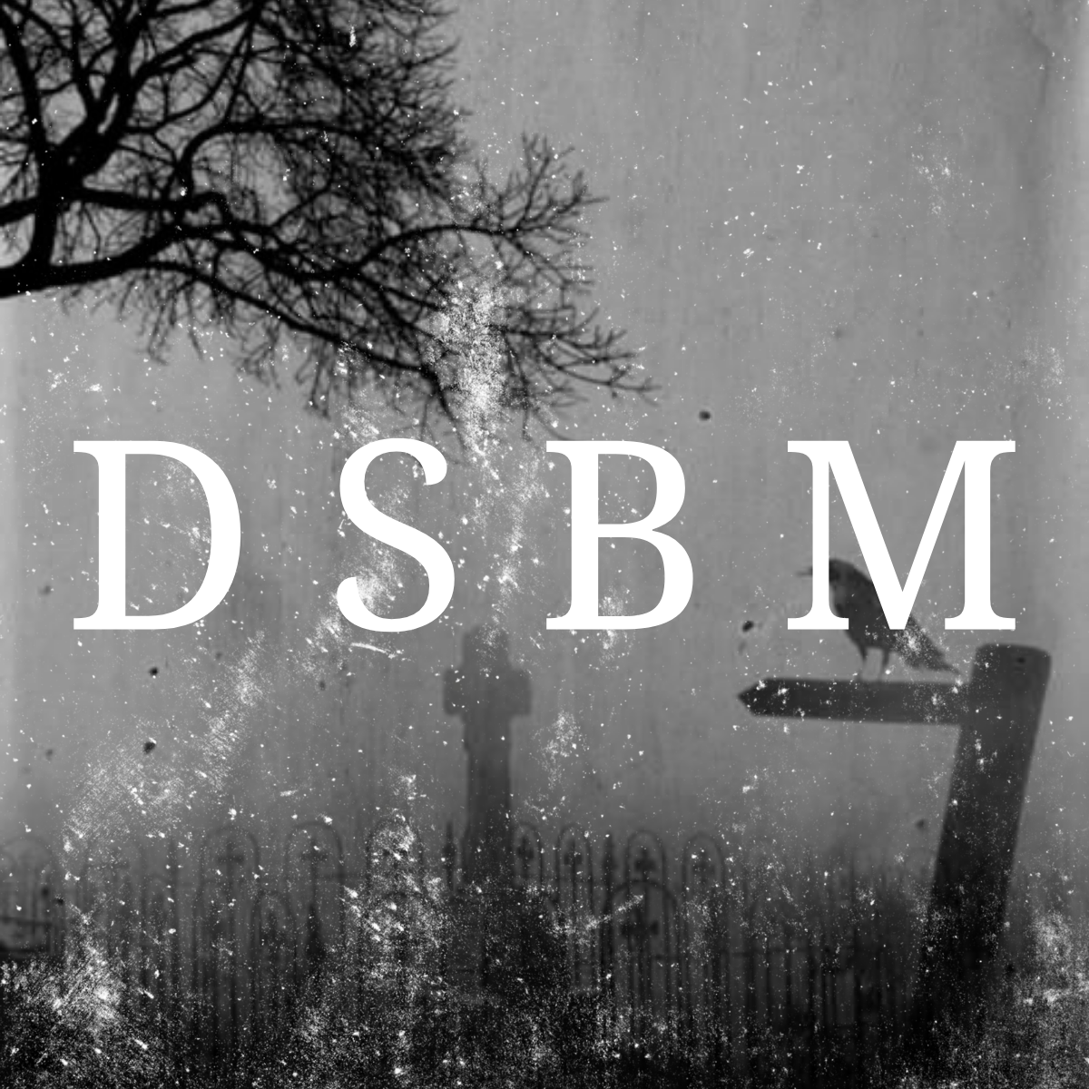 DSBM